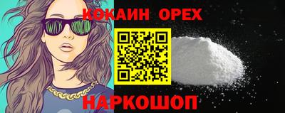 гидропоника Владимир