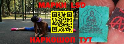 гидропоника Владимир
