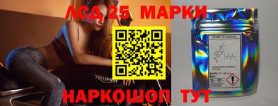 гидропоника Владимир